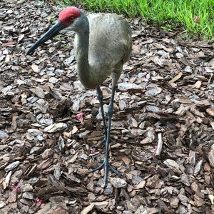 Meet your Posher, Stephen